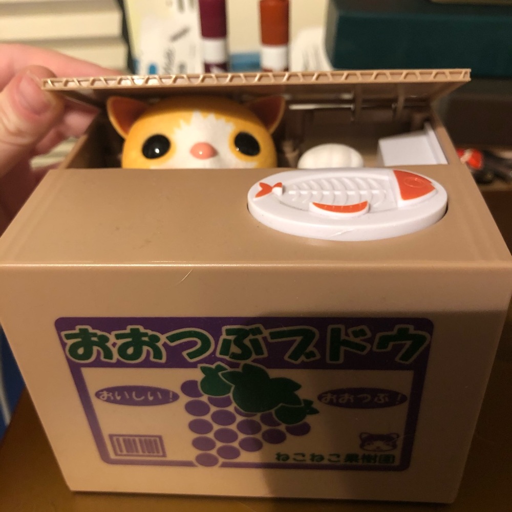 Matney Stealing Cat Coin Box(Orange and White Cat)